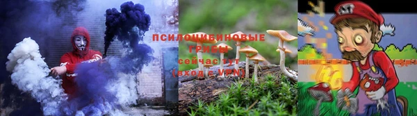 гидропоника Алексеевка