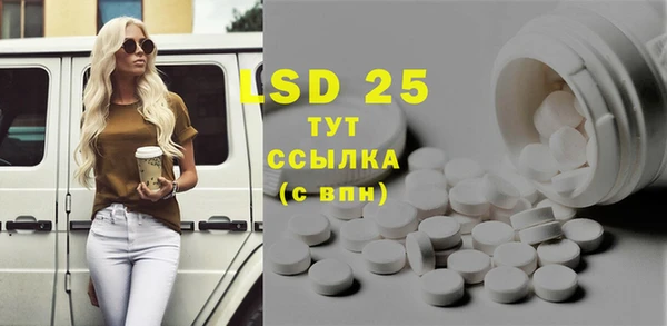 apvp Кукмор