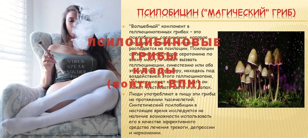 spice Кулебаки