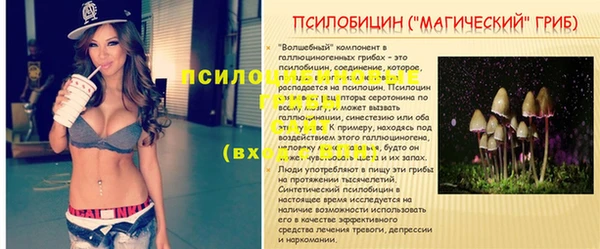гидропоника Алексеевка