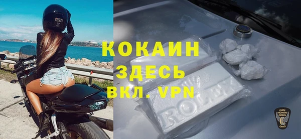 крисы Алексин
